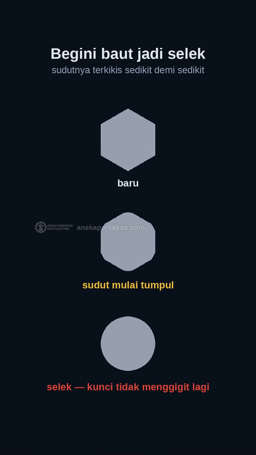 Sok 6 PT atau 12 PT: Kenapa Baut Jadi Selek